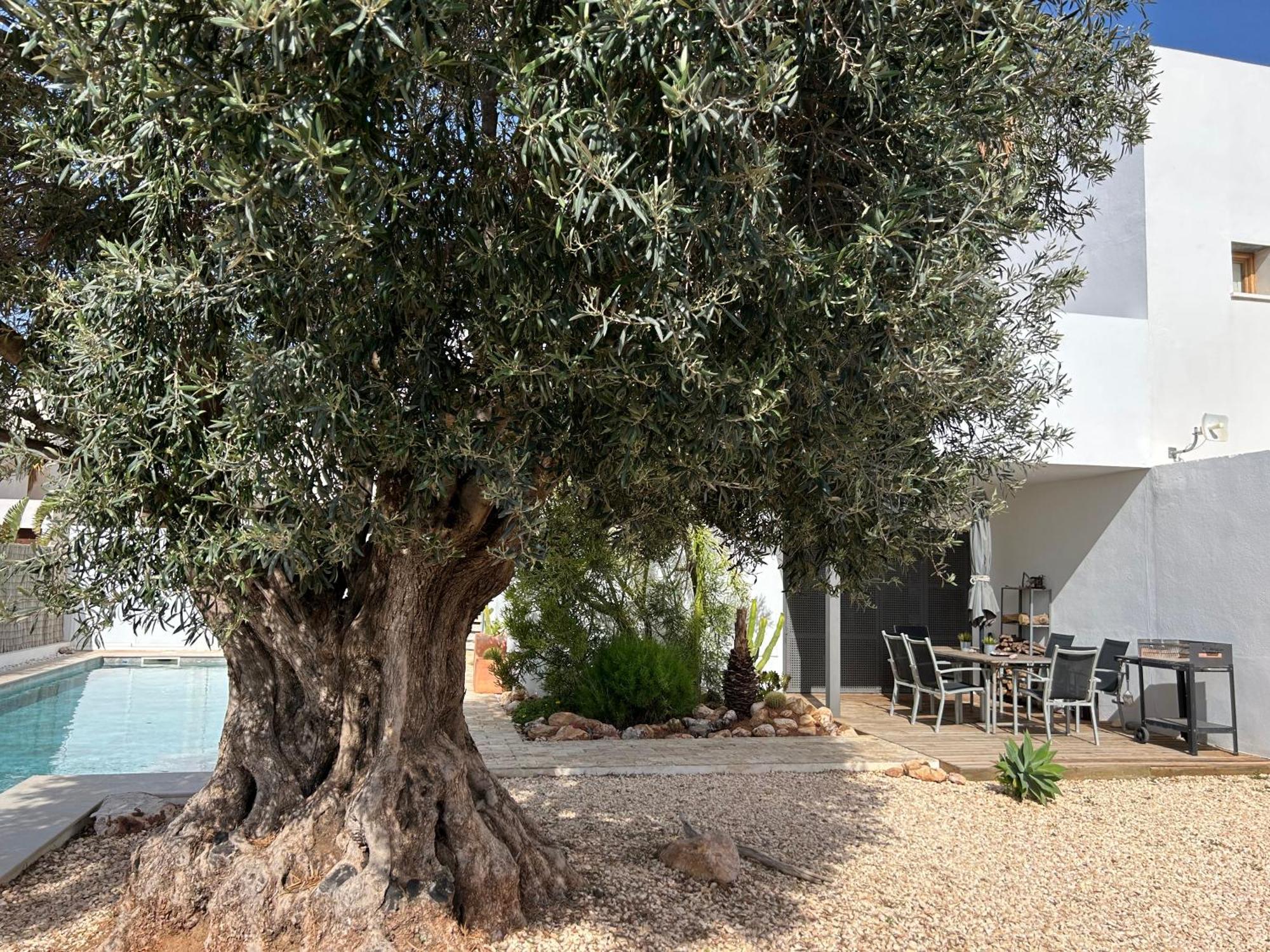 Villa Filon Rodalquilar Buitenkant foto